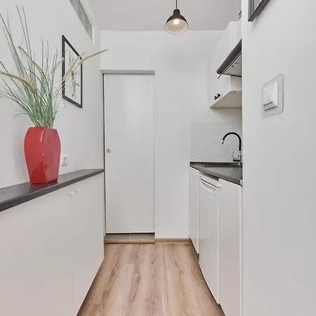 Appartement Studio With Sky Tower View By Renters